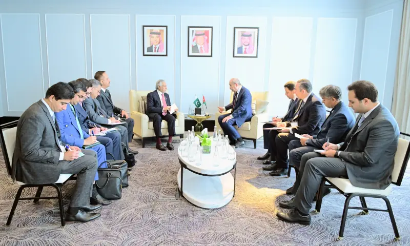 Deputy Prime Minister and Foreign Minister Ishaq Dar meets with his Jordanian counterpart Ayman Safadi on the sidelines of a Ministerial Meeting on Jerusalem in Amman, Jordan on August 5. &mdash; ForeignOfficePk via X