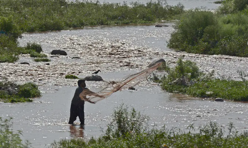 A man casts a net in Korang Nullah in the outskirts of Islamabad after a heavy rain on Thursday morning. — Photo by Mohammad Asim A man casts a net in Korang Nullah in the outskirts of Islamabad after a heavy rain on Thursday morning. — Photo by Mohammad Asim