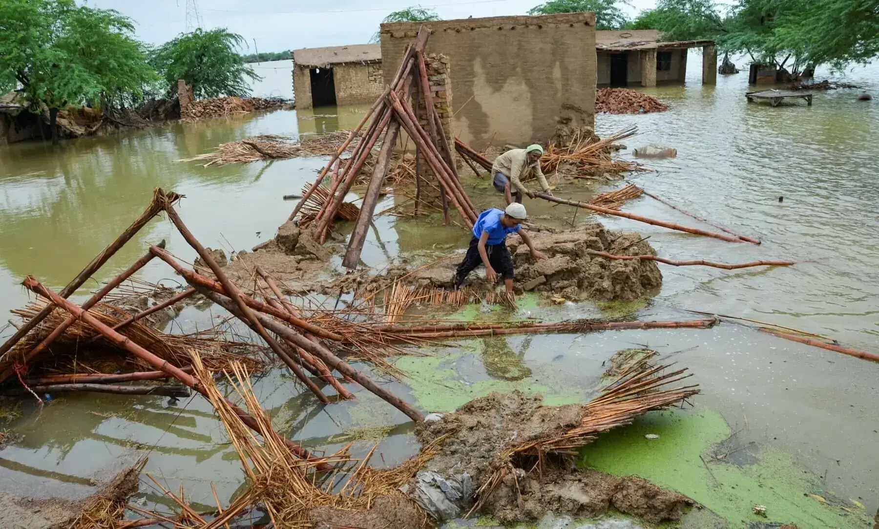People retrieve bamboo from a damaged house following rains and floods during the monsoon season in Dera Allah Yar, district Jafferabad, Balochistan, on Aug 25, 2022. — Reuters/Amer Hussain/File People retrieve bamboo from a damaged house following rains and floods during the monsoon season in Dera Allah Yar, district Jafferabad, Balochistan, on Aug 25, 2022. — Reuters/Amer Hussain/File