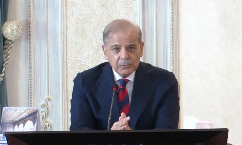 Pak-Saudi-Turkiye defence pact &lsquo;entirely for defensive purposes&rsquo;, not aggression: PM Shehbaz