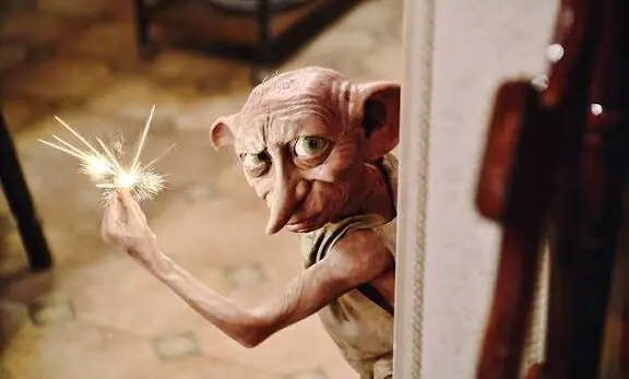 Harry Potter fans saved Dobby's grave by forcing energy company to divert $581m international cable