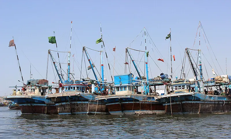 No catch for the day: Pakistan's tuna trade caught in US-Iran crossfire No catch for the day: Pakistan's tuna trade caught in US-Iran crossfire