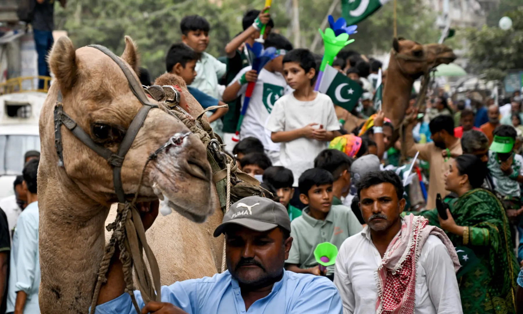People participate in a camel carriage rally during Independence Day celebrations in Karachi on August 14, 2026. — AFP