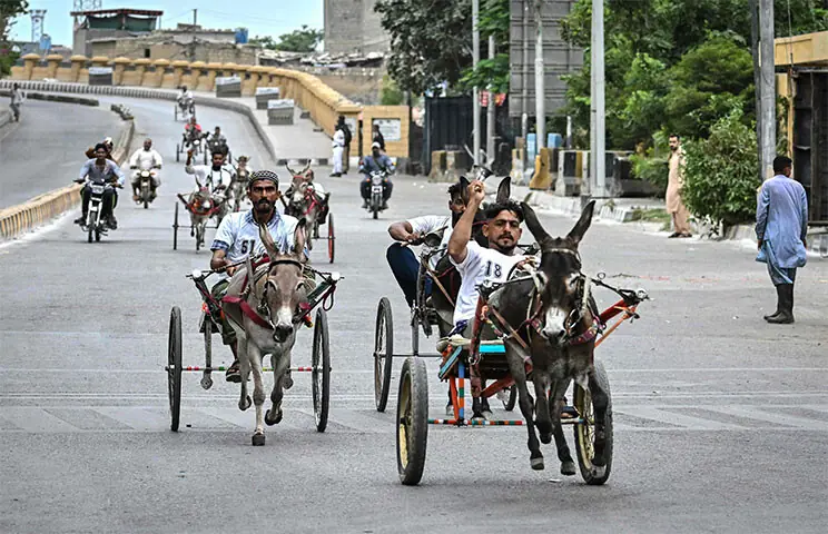 Participants compete in the donkey-cart race.—AFP Participants compete in the donkey-cart race.—AFP
