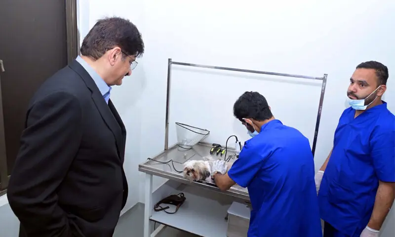 Chief Minister Murad Ali Shah observes pet-care services being provided by veterinary staff at the Sindh Institute of Animal Health.—PPI Chief Minister Murad Ali Shah observes pet-care services being provided by veterinary staff at the Sindh Institute of Animal Health.—PPI