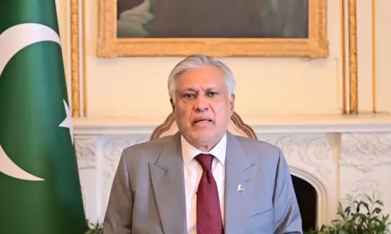 Deputy Prime Minister and Foreign Minister Ishaq Dar, addressing a virtual seminar on August 28, 2026. — Screen grab X/FO Deputy Prime Minister and Foreign Minister Ishaq Dar, addressing a virtual seminar on August 28, 2026. — Screen grab X/FO