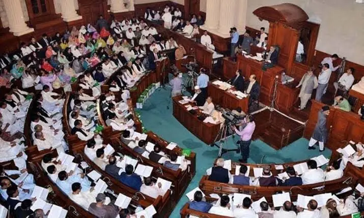 The resolution was moved by ruling party members Rana Muhammad Arshad and Ahsan Raza. —Dawn/File The resolution was moved by ruling party members Rana Muhammad Arshad and Ahsan Raza. —Dawn/File