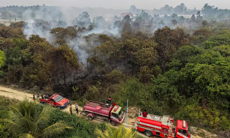 This aerial picture shows fire fighters battling peatland fires in Sintang, West Kalimantan on September 5, 2026. — AFP This aerial picture shows fire fighters battling peatland fires in Sintang, West Kalimantan on September 5, 2026. — AFP
