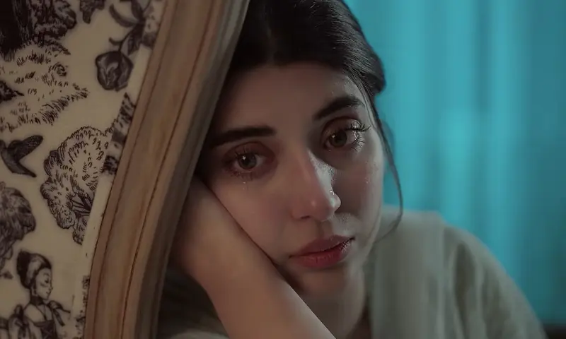 The emotional abuse started long before Beena decided she had had enough. Photo: HUM TV