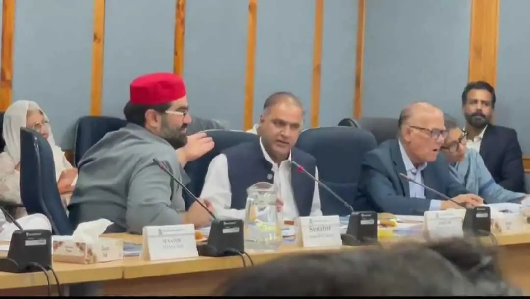 PML-N Senator Abid Sher Ali (L) and Awami National Party Chief Senator Aimal Wali Khan (R) during the committee's session. — Screenshot PML-N Senator Abid Sher Ali (L) and Awami National Party Chief Senator Aimal Wali Khan (R) during the committee's session. — Screenshot