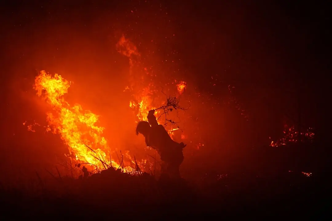 A firefighter uses a tree branch to try and douse the flames amid a wildfire in Palembang, South Sumatra province, Indonesia, September 8, 2026. &mdash;Reuters