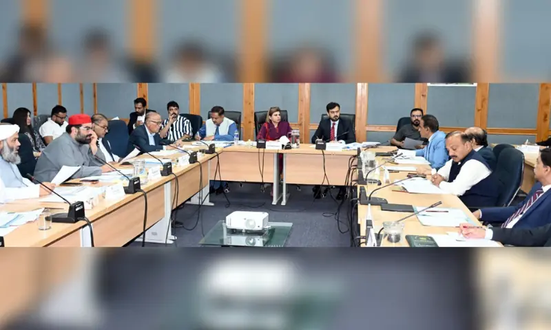 Senator Samina Mumtaz Zehri chairs a meeting of the Senate Functional Committee on Human Rights on Wednesday. &mdash; Photo courtesy Senate website