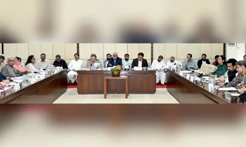 Senator Syed Waqar Mehdi chairs a meeting of the Senate Rules of Procedure and Privile&shy;ges Committee. &mdash; Photo courtesy Senate website
