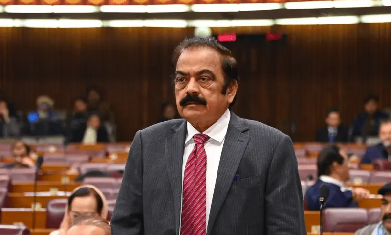 PML-N leader Rana Sanaullah speaks in the National Assembly on December 17, 2024. &mdash; Photo courtesy X/@NAofPakistan