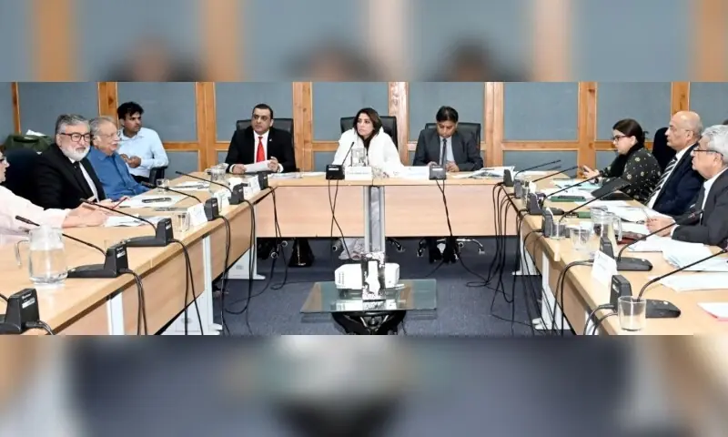 Senator Palwasha Mohammad Zai Khan presides over a meeting of the Senate Standing Committee on IT and Telecom on Monday. — Photo courtesy Senate website Senator Palwasha Mohammad Zai Khan presides over a meeting of the Senate Standing Committee on IT and Telecom on Monday. — Photo courtesy Senate website