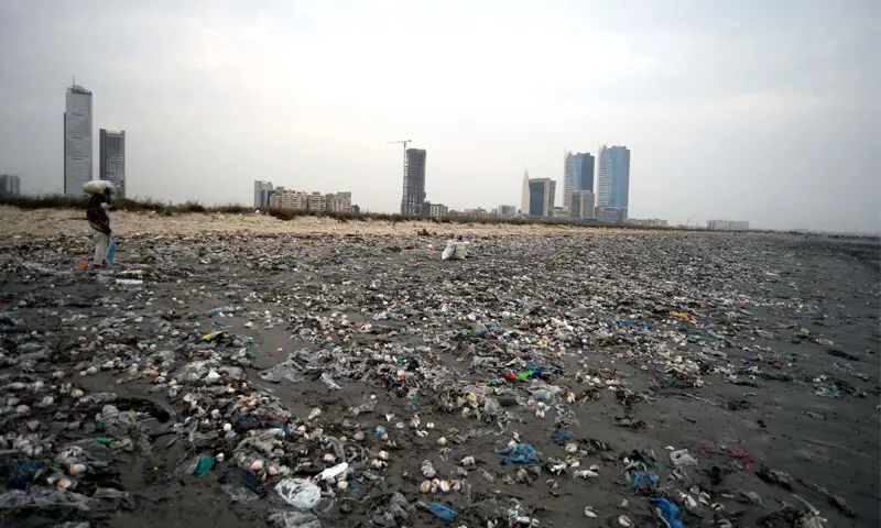 The breeze smells distinctly ‘fishy’ at Seaview beach, which is strewn with a large number of seashells amid the pungent odour of the ‘decaying marine life’.—PPI The breeze smells distinctly ‘fishy’ at Seaview beach, which is strewn with a large number of seashells amid the pungent odour of the ‘decaying marine life’.—PPI
