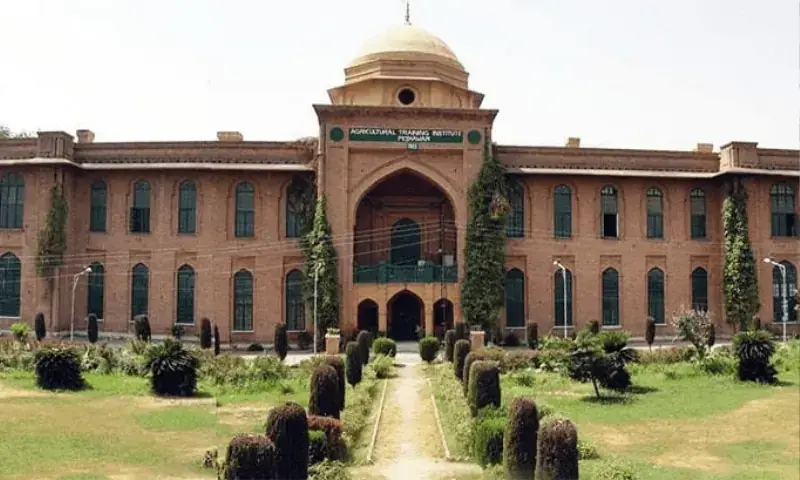 Five heads undertake to face action in case of breach of appointment terms. —Dawn/File Five heads undertake to face action in case of breach of appointment terms. —Dawn/File