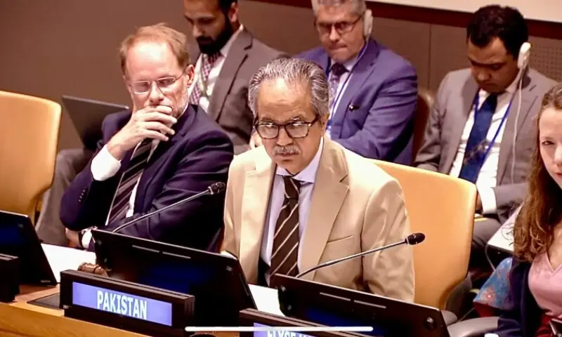 Pakistan's Permanent Representative to the United Nations Ambassador Asim Iftikhar Ahmad addresses the UN Security Council on Wednesday, Sep 16. &mdash;Photo via X/@PakistanUN_NY/X