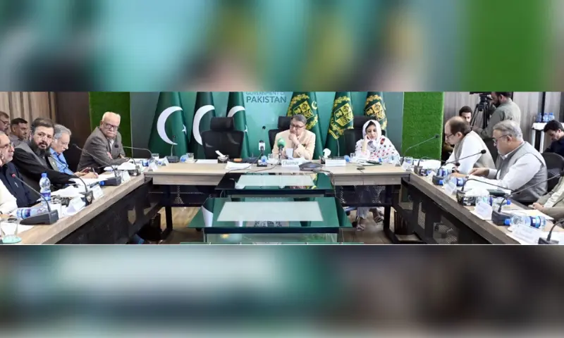 Senator Sarmad Ali chaired a meeting of the Senate Stan&shy;ding Committee on Information and Broadcasting on Friday. &mdash; Senate website