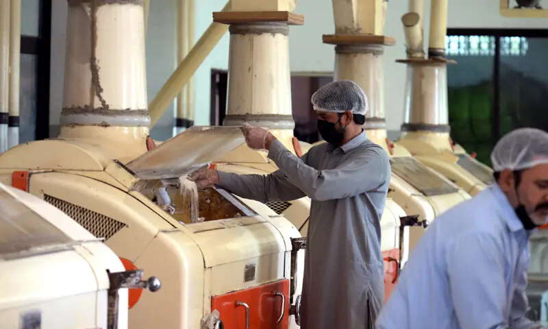 The drop in flour prices has nothing to do with the expected arrival of the 750,000 tonnes of imported wheat in November, according to market players.—PPI/file The drop in flour prices has nothing to do with the expected arrival of the 750,000 tonnes of imported wheat in November, according to market players.—PPI/file