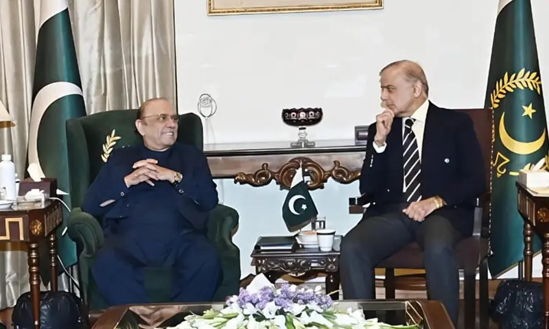 PRESIDENT Asif Ali Zardari meets Prime Minister Shehbaz Sharif at Aiwan-i-Sadr, on Thursday.&mdash;PM Office
