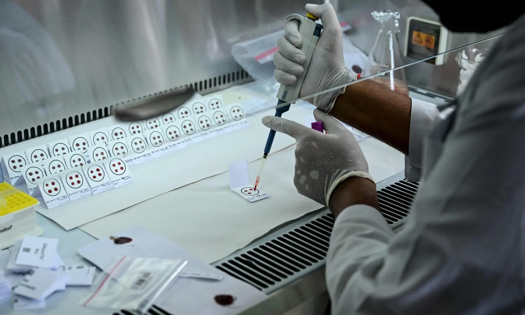 A forensic analyst conducts DNA testing to help identify missing flash flood victims at the National Forensic Science Laboratory in Lalitpur on September 19, 2026. —AFP/File