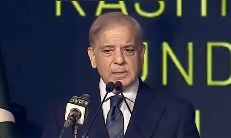 Prime Minister Shehbaz Sharif addresses an event on Oct 6. — DawnNewsTV Prime Minister Shehbaz Sharif addresses an event on Oct 6. — DawnNewsTV