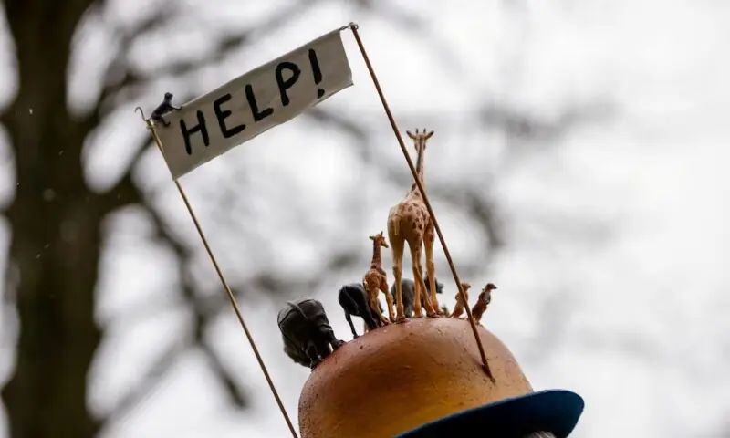 A demonstrator wears a hat with animal figurines, during a climate protest coinciding with COP28 being held in Dubai and ahead of the upcoming Belgian presidency of the Council of the European Union, in Brussels, Belgium on December 3, 2023. —Reuters/File A demonstrator wears a hat with animal figurines, during a climate protest coinciding with COP28 being held in Dubai and ahead of the upcoming Belgian presidency of the Council of the European Union, in Brussels, Belgium on December 3, 2023. —Reuters/File