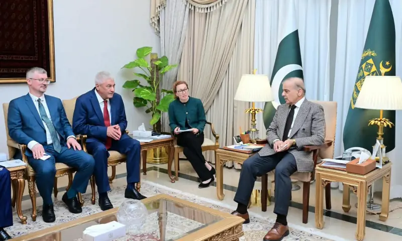 Interior Minister of the Russian Federation Vladimir Kolokoltsev calls on Prime Minister Shehbaz Sharif in Islamabad on Oct 14. &mdash; PakPMO via X