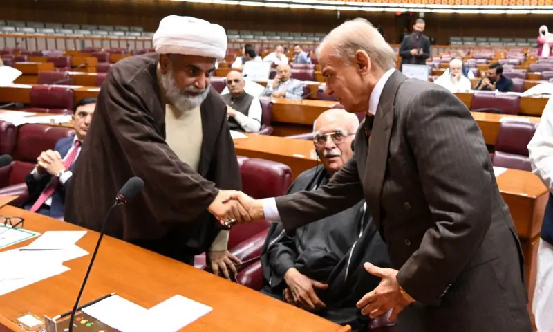 Prime Minister Shehbaz Sharif shakes hands with Senate Opposition Leader Allama Raja Nasir Abbas during a joint parliamentary session on Oct 15, 2026. — courtesy Facebook/NationalAssemblyofPakistan Prime Minister Shehbaz Sharif shakes hands with Senate Opposition Leader Allama Raja Nasir Abbas during a joint parliamentary session on Oct 15, 2026. — courtesy Facebook/NationalAssemblyofPakistan