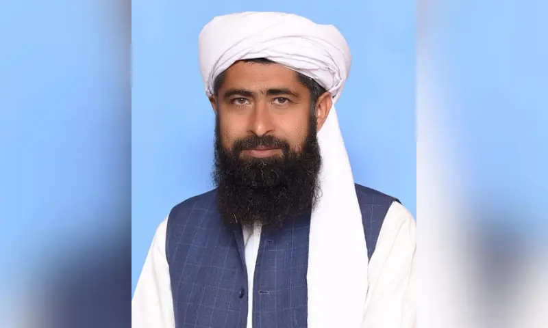 MNA Maulana Syed Naseem Ali Shah. -- Photo via the National Assembly's website