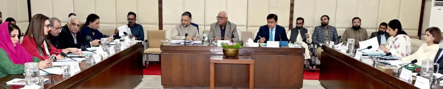 Senator Syed Waqar Mehdi chairs a meeting of the Senate Rules of Procedure and Privile&shy;ges Committee on Oct 21, 2026. &mdash; Photo courtesy Senate website
