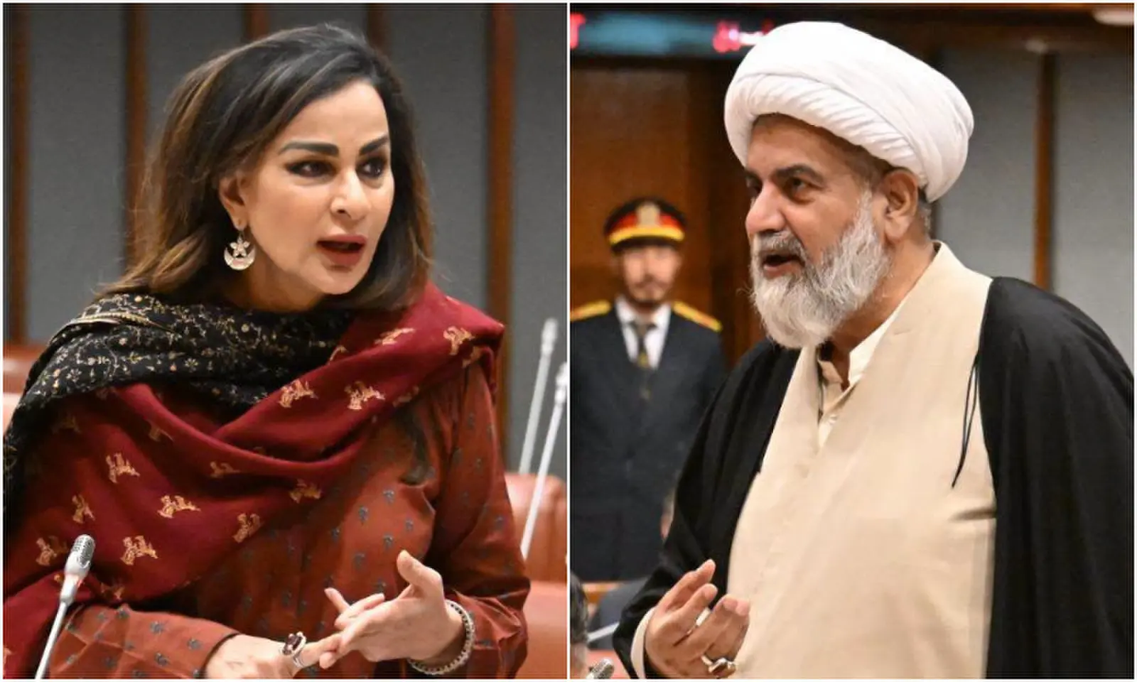 PPP Senator Sherry Rehman and Senate Opposition Leader Allama Raja Nasir Abbas. &mdash; Photos via Senate/Facebook