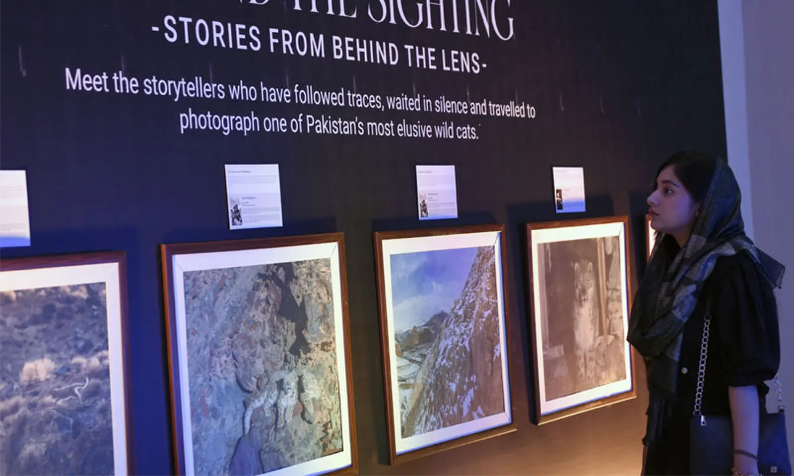 A visitor looks at photographs ondisplay at an exhibiton in Islamabad on Friday. &mdash; Photo by Tanveer Shahzad