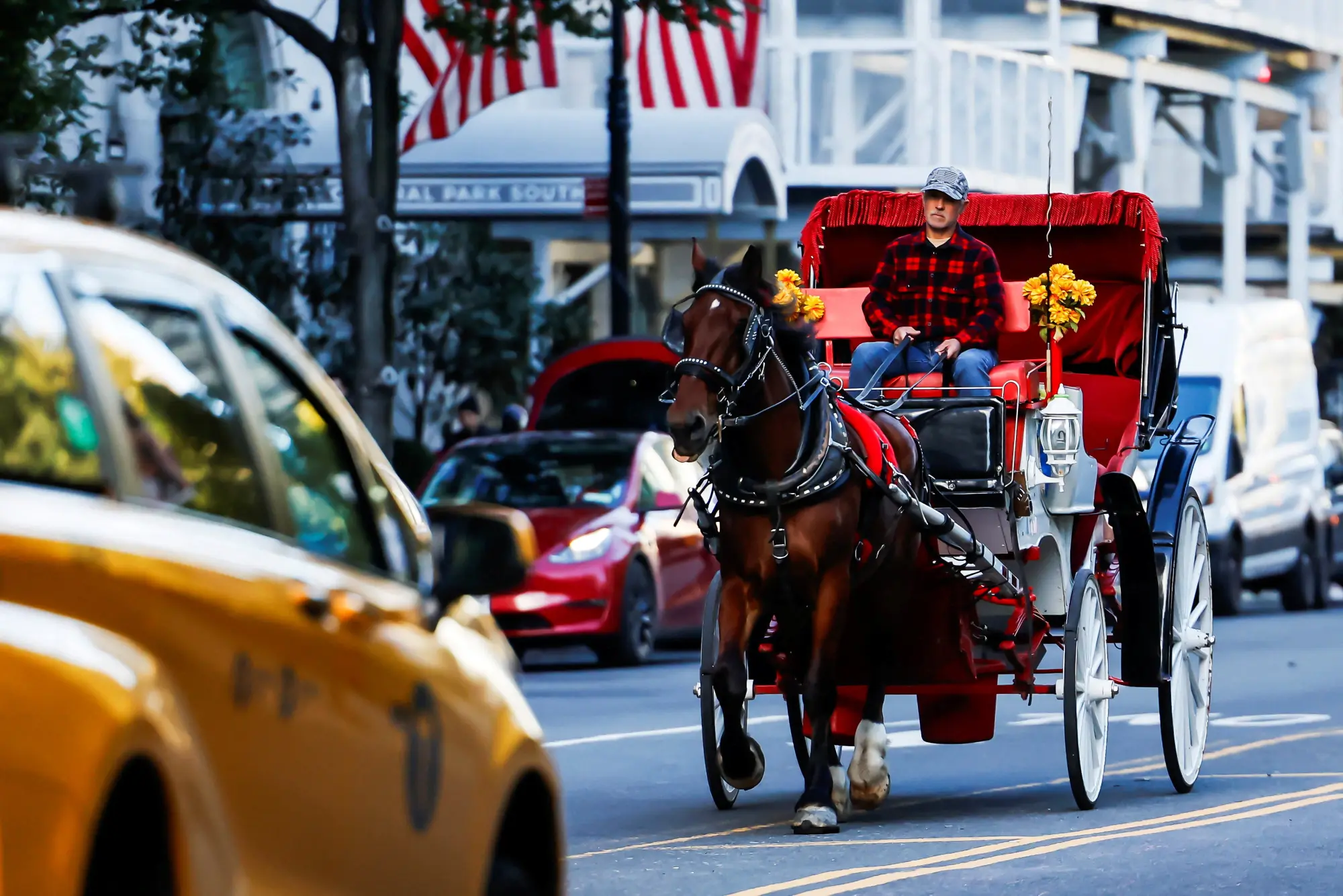A horse pulls a carriage through traffic at 59th Street in New York City, US, October 21, 2026. --Reuters A horse pulls a carriage through traffic at 59th Street in New York City, US, October 21, 2026. --Reuters