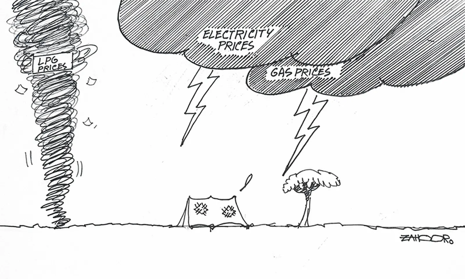 Zahoor's Cartoon