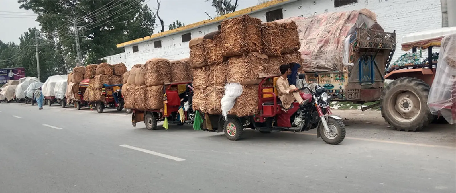 Growers wait outside a tobacco company for their turn to sell their crop. —Photo by writer Growers wait outside a tobacco company for their turn to sell their crop. —Photo by writer