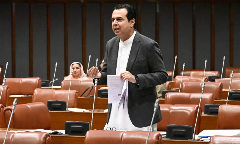 Minister of State for Interior Tallal Chaudhry speaks at the Senate on October 30, 2026. &mdash; Senate of Pakistan/Facebook