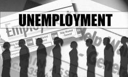 Number of US families affected by unemployment up 33pc
