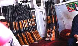 درّہ آدم خیل کی تتلیاں