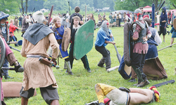 Fantasy fighting takes modern-day US gladiators back in time