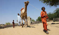 تھرکے70 فیصد مراکزصحت بند،مقامی عدالت کی رپورٹ