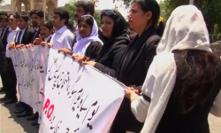 Daska killings: Protesting lawyers try to break into Punjab Assembly