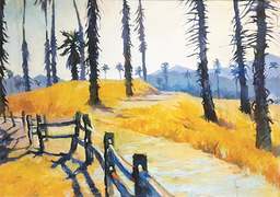 Portfolio: A landscape of my own