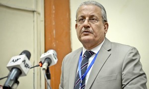 There was nothing I could do to make a difference: Raza Rabbani