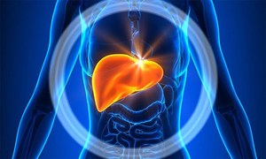 جگر کو امراض سے کیسے بچائیں؟