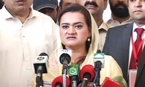 'وزیر اعظم نواز شریف پاناما کیس میں بری ہوجائیں گے'
