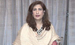 وزیراعظم نے استعفیٰ نہ دیا تو وہ نقصان میں جائیں گے: شہلا رضا