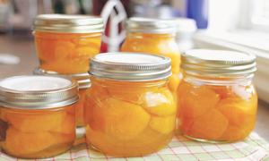 EPICURIOUS: A FRUIT BINGE