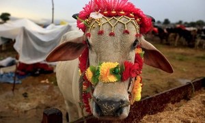 پاکستان میں عید الاضحیٰ کے اخراجات کم ہوگئے
